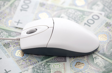 Computer mouse on polish money