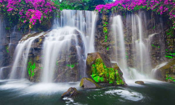 Fototapeta Waterfall in Hawaii