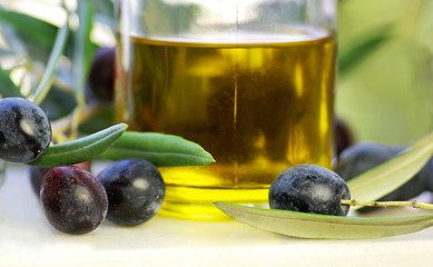 olive oil bottle and a branch with olives.