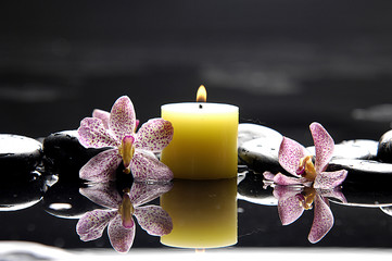 burning candle and zen stones with pink orchid