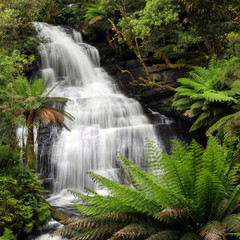 Rainforest Waterfall