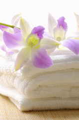 Obraz na płótnie Canvas Makro różowa orchidea na ręcznik