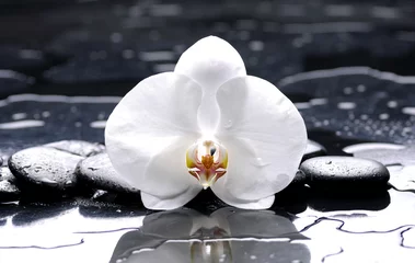 Fototapeten Zen- oder Spa-Stillleben auf Schwarz mit weißer Orchidee © Mee Ting