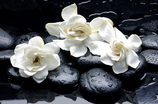 Fototapeta Wet Zen Spa Stones with gardenia flower