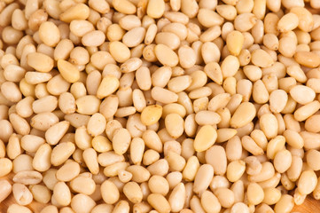 pine nuts background