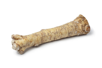 Fresh Horseradish