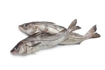 Crédence de cuisine en verre imprimé Poisson Fresh raw haddock fished