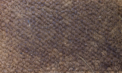 the old doormat
