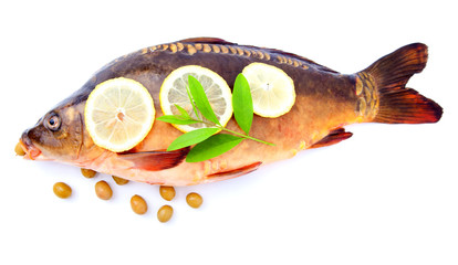 Raw carp mirror whole