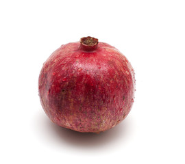 wet pomegranate