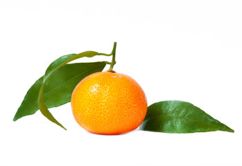 Fresh tangerines