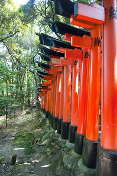 Toris en Fushimi Inari taisha en Kyoto,Japon