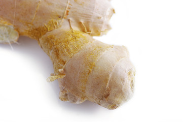 Ginger root in isolated white background