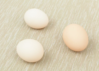 eggs