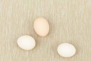 eggs