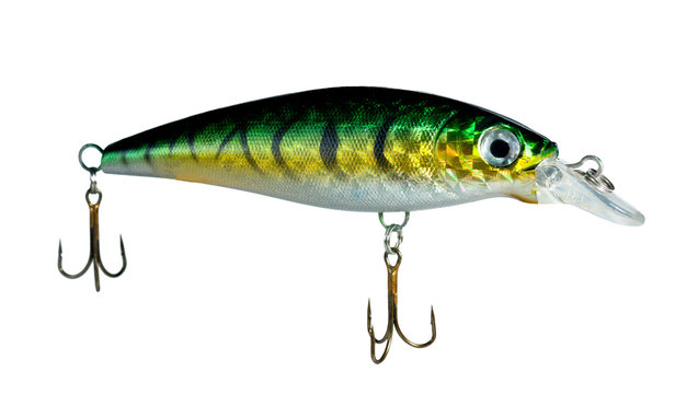 Plug (fishing)