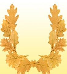Dry leaves of oak on a yellow background.