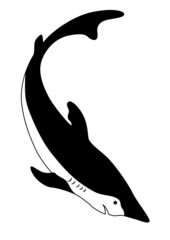 sea shark silhouette on white background