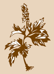 field flower silhouette on brown background