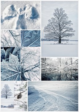 Winter Collage