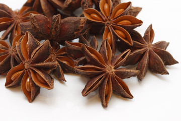 Sternanis © Ralf Hettich