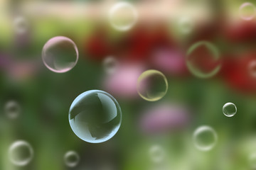 Soap bubbles in park