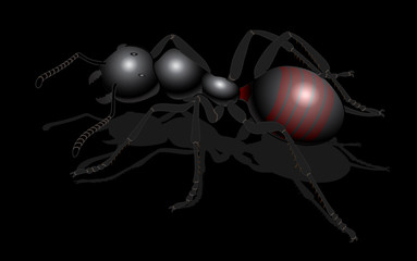 bug - forest ants isolated on white background , vector