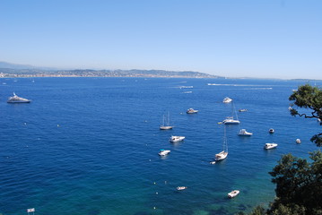 boats