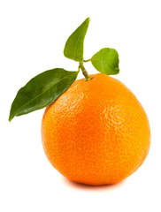Tangerine with green leaves