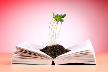 Seedlings growing from book in knowledge concept