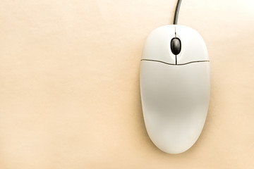 Computer mouse on the blank background