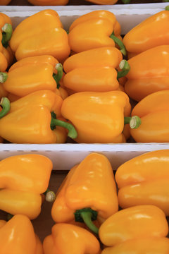 Peperoni gialli