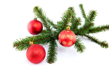 Obraz na płótnie Canvas branch of christmas tree with red balls