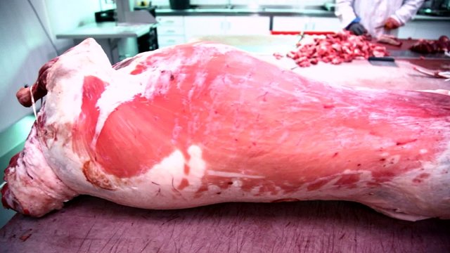 work place in meat factory