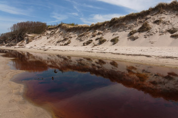Weststrand auf dem Darss, Nationalpark