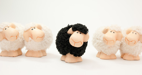 the black sheep of the family