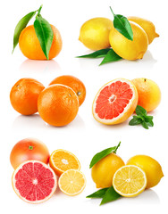set fresh citrus fruits with cut isolated on white background