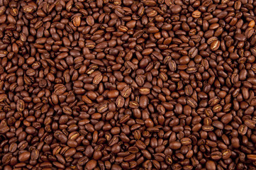 coffee seed background