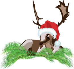 Deer in Santa Claus Hat