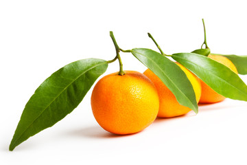 ripe tangerines with leaves