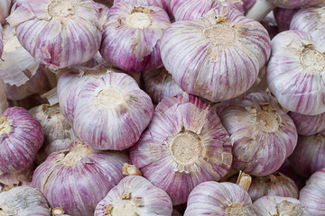Background head of garlic