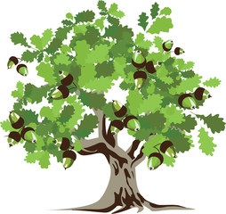Big green oak tree vector illustration