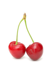 sweet cherry