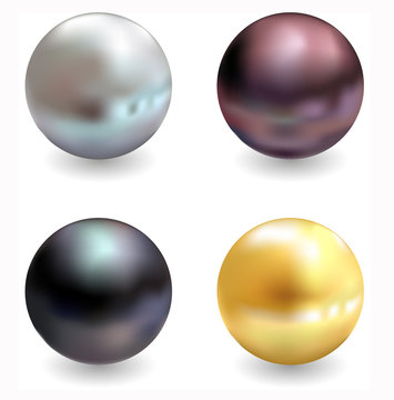 Beautiful pearls, realistic vector illustration