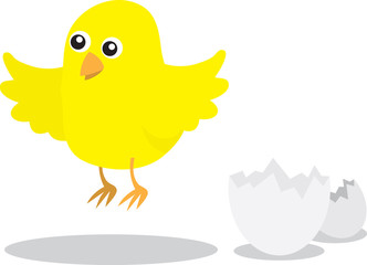 Baby chicken flying out of a broken eggshell