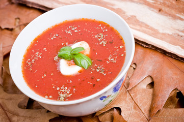 Tomato soup on the natural background