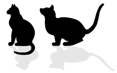 animal - CAT, vector