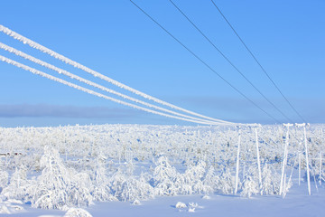 Winter in the finland