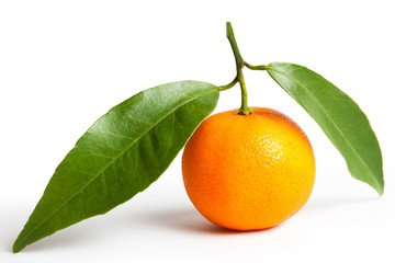 ripe tangerines with leaves