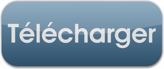 bouton télécharger